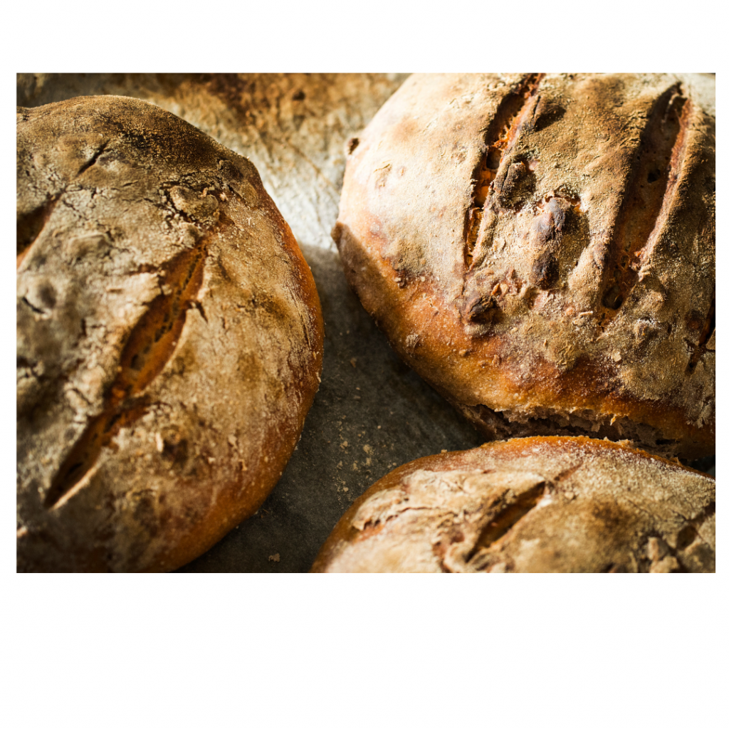 three loaves of historically fermented sourdough bread