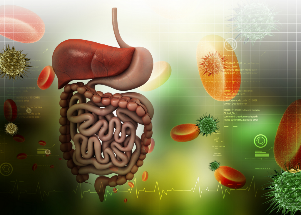 Scientific animation of the human digestive system with microorganisms surrounding it.