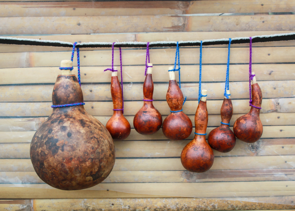 Row of calabash gourds used in time tested fermentation strung up on outdoor wooden wall