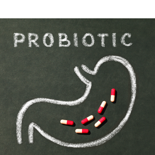Chalkboard with probiotic written at the top. Outline of human stomach with red and white pills on the stomach outline.