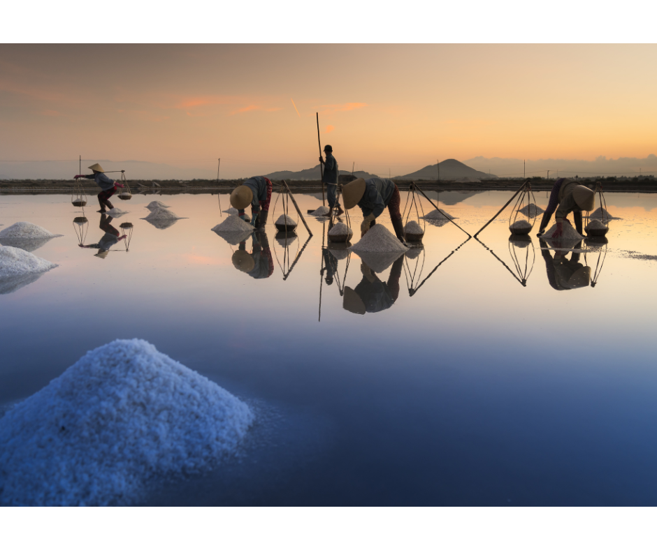 Five people working in a salt pool to collect sea salt. Low mountains are in the background at twilight.
