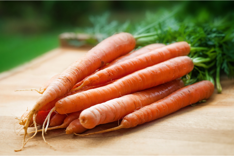 Bundle of orange carrots with attached green tops sitting on a wooden table outside.