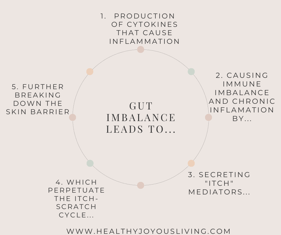 Graphic showing gut imbalance cause and effect circle.