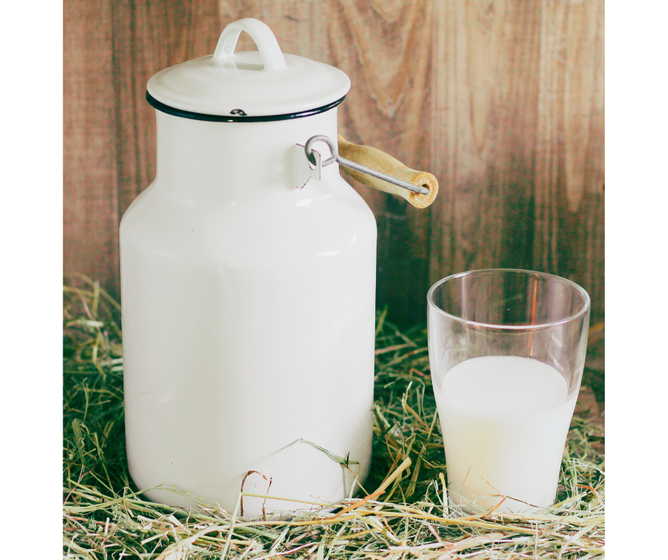 White metal milk pail sitting on hay in front of wooden background with glass of milk sitting beside it.