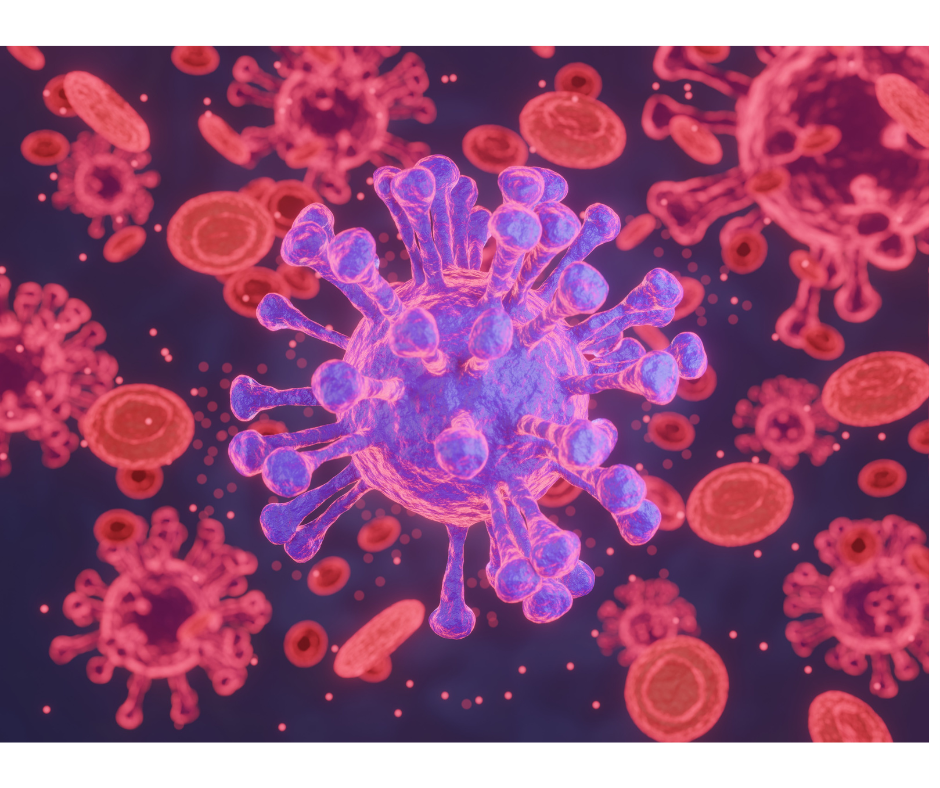 Animation of various viruses and red blood cells
