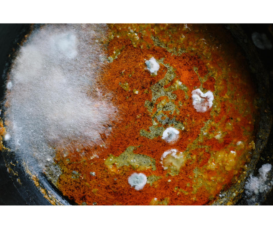 close up of container with orange, brown and yellow food that has white, fuzzy mold growing on top